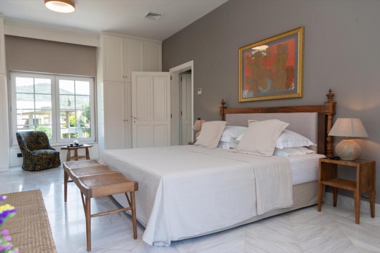 فيلا The Manor PalaiónTsiflíkion المظهر الخارجي الصورة